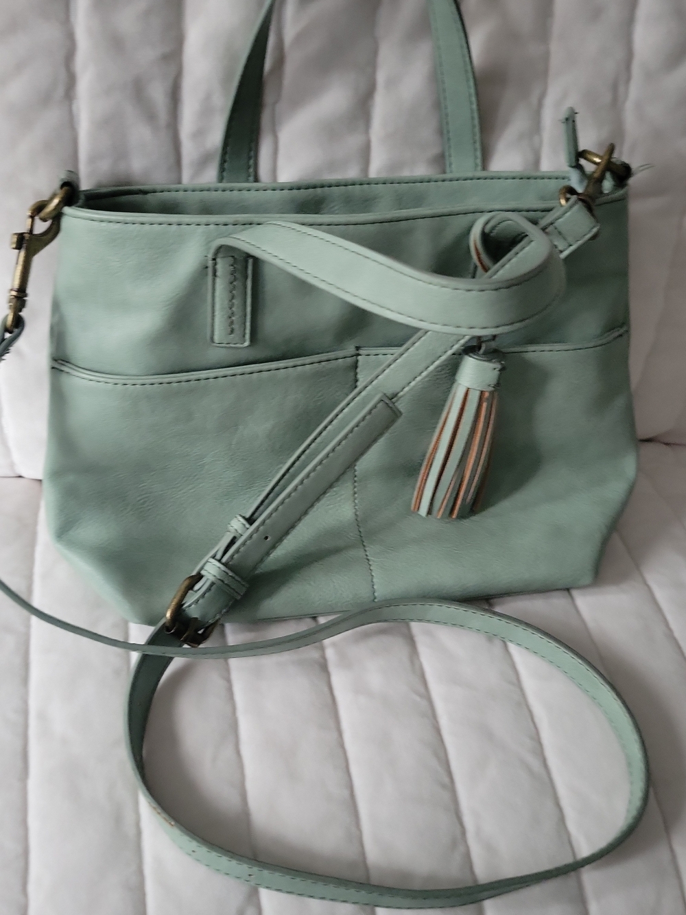 Mint Green Women's Faux Leather Tote with Tassel Accent